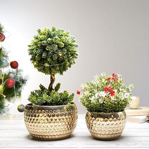 Jarrón chapado en oro con diseño circular para flores o plantas verdes de interior, macetero moderno minimalista para escritorio - Product Image 4