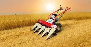 Segadora Agrícola de Servicio Pesado Sabin POWER REAPER 5PR 135kg con Motor y Caja de Cambios - Multifuncional - Product Image 2