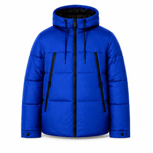 Veste matelassée imperméable pour homme avec logo brodé personnalisé, à capuche, isolée, pour l'hiver, fournisseur en gros - Product Image 1
