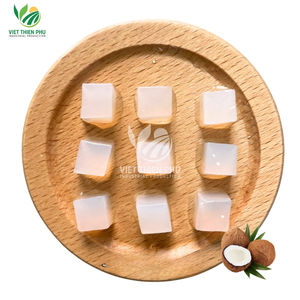 GELATINA DE COCO NATURAL – FORMA CRUZA PARA USO EN ALIMENTACIÓN Y BEBIDAS - Product Image 1