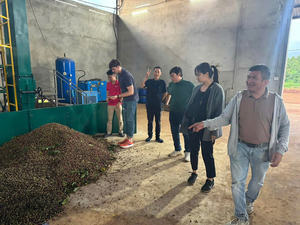 HANCOFFEE 2026 Nueva Cosecha de Café Robusta Verde/Natural de Vietnam - Precio Mayorista Más Bajo - Empaquetado en Bolsas de 60 kg/PP/Yute - Product Image 5