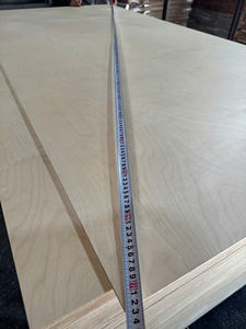 Vietnam Factory 4x8 Commercial Plywood 12mm 15mm 18mm Bintangor Pine Birch for Furniture Cabinet Interior Decoration - Product Image 3