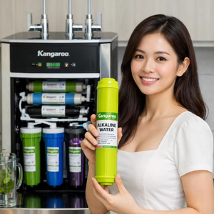 Filtro de agua alcalino de 10 pulgadas para sistema de ósmosis inversa, aumenta el nivel de pH y proporciona beneficios antioxidantes. - Product Image 3