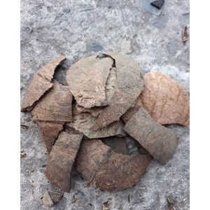 Premium crushed <b>coconut</b> <b>shells</b> bulk supply for activated carbon manufacturing and industrial filtration plants - Product Image 2