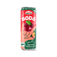 OEM Blauwe Bes Munt Gember Sprankelende Drank 320ml 24 Blikjes Groothandel Private Label Fabriek Fabrikant