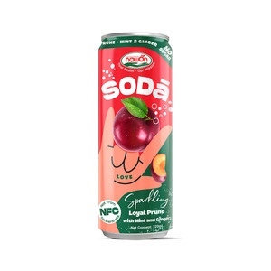 OEM Blueberry <b>Mint</b> <b>Ginger</b> Sparkling Beverage 320ml 24 Cans Wholesale Private Label Factory Manufacturer - Product Image 4