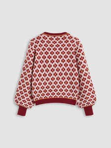 Pull en tricot épais et chaud style universitaire - Haut en maille lourde respirant et doux pour femme 2026 - Product Image 2