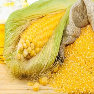 Harina de Gluten de Maíz de Nueva Cosecha para Alimentación Animal, para Aves de Corral, Ganado y Pollos, Ensilaje y Salvado de Arroz, Tipo Grano, Empaquetado en Bolsas - Product Image 4