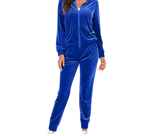 Casual Solid Color With Logo Women's Solid Color Hooded Tracksuit Full Sleeve Zipper Closure Casual Wear Autumn Regular - Product Image 3