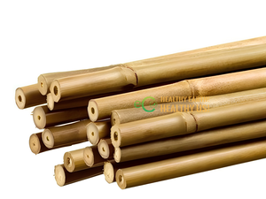 Eco2go Vietnam Piquets de Bambou pour Plantes |   Supports de treillis de jardin en bois |   Pôles en bambou naturel durable pour plantes grimpantes en vrac - Product Image 6