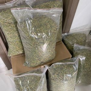 ชาดอกมะละกอแห้งแบบยั่งยืน ขายดี ชาสมุนไพรแท้ ขายส่ง ส่งออก - Product Image 4