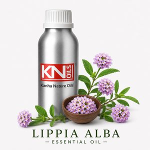 Aceite Esencial de Lippia Alba 100% de Primera Calidad, Fabricante a Granel, Lippia Alba Orgánica Certificada, Grado Cosmético, Exportador Global - Product Image 1