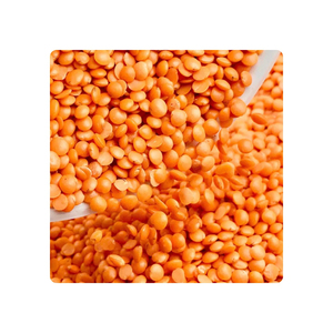 Lentilles rouges fiables, qualité constante provenant des régions de production mondiales les plus importantes - Product Image 6