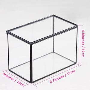 Conteneur de terrarium décoratif de forme unique, récipient transparent pour la maison, le bureau, le jardin, améliorant l'esthétique des plantes d'intérieur - Product Image 5