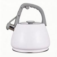 Bouilloire sifflante en acier inoxydable 2,7 L pour la cuisine, avec peinture colorée, théière