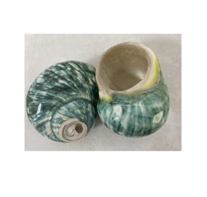 Turbo Shell - Concha de Caracol Verde Natural Pulida, Material de Concha Marina de Vietnam, Decoración para el Hogar, Manualidades para Acuarios, Estilo Animal Premium - Product Image 3