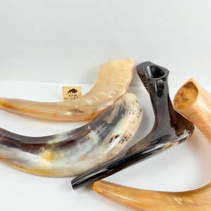 OEM fabricante indio Kosher Shofar hecho Israel Natural Ram Horn Shofar para soplar y fines religiosos pulido Kudu Horn - Product Image 6