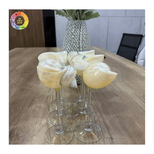 Gobelet artisanal en coquillage, décoration de mariage côtier haut de gamme, flûte bohème en conque naturelle, verre à vin en coquillage marin - Product Image 1