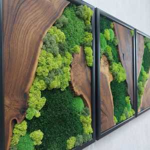 Ensemble de trois panneaux muraux en bois avec mousse, art mural en bois naturel fait à la main, décoration inspirée de la forêt, triptyque de luxe pour la décoration de la maison - Product Image 6