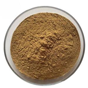 Polvo de Hoja de Balsamo de Limón Premium, Grado Alimenticio, Proveedor a Granel de Polvo de Hoja de Balsamo de Limón para Tés Herbales y Suplementos Nutricionales - Product Image 3
