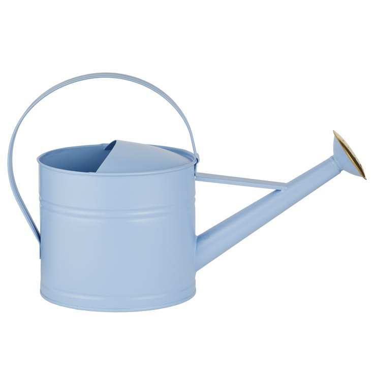 ตามที่แสดง