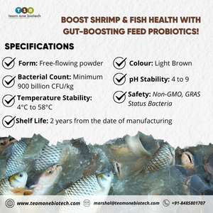Probióticos para Peces para la Acuicultura que Apoyan la Salud Intestinal y la Eficiencia Alimentaria - Product Image 5