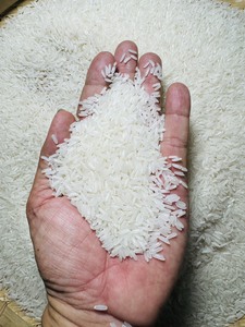 Riz de qualité supérieure Jasmine (Vietnam) # 1 Moulin à riz) 25/8/2026 11:17 AM - Product Image 5