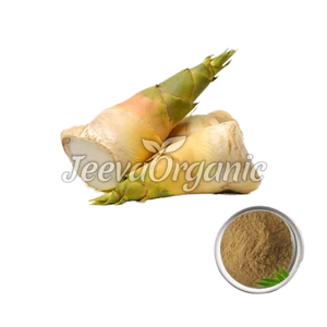 Polvo de extracto de brotes de bambú orgánico Extracto de planta Premium para la salud y el bienestar - Product Image 1