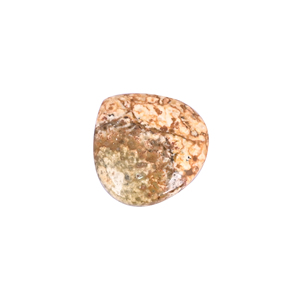 <b>Frog</b> Skin Jasper 35.9 Carat 29x29mm Heart Shape Loose Gemstone - Product Image 4