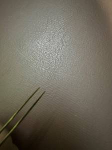 FindLove Private Label Durable Stainless Steel Curved Smooth Tip <b>Cluster</b> <b>Lash</b> Tweezers for Eyelash Use - Product Image 4