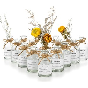 Bulk <b>Small</b> Glass Flower Vases with Rattan Rope Bow Mini Clear Hydroponic <b>Bottle</b> for Wedding Centerpieces Party Table Decor Vases - Product Image 1