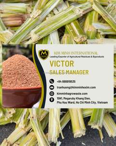 Baga de caña de azúcar fermentada de primera calidad – Ingrediente de fibra natural para alimentación de ganado, animales de granja y rumiantes de Vietnam - Product Image 6
