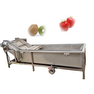 Vente chaude fraise bulle fruits légumes laveuse moteur pompe 304 acier inoxydable 500-800 kg/h usine de traitement de légumes - Product Image 4