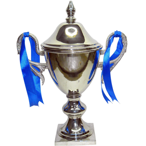 Antique Metal Sport <b>Cup</b> Aluminium <b>Trophies</b> Award <b>Cup</b> PLaques Luxury Top Selling Unique Design 2025 Indian Handicraft Item - Product Image 2
