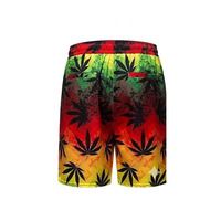 Conjunto de Camisa y Pantalones Cortos con Estampado de Hojas Rasta para Hombre Ekir Impex, Cuello Camisero, Ropa Casual de Verano, Transpirable, de Poliéster