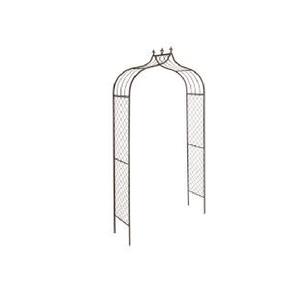 Arco de Rosas para Jardín - Product Image 5