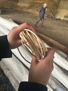 Noyau de rotin en vrac, matériau naturel pour la fabrication de chaises et la production artisanale - Product Image 2