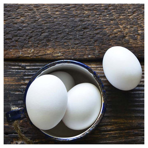 Huevos Frescos de Gallina de Granja/Huevos Frescos de Gallina a Buenos Precios - Product Image 6