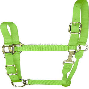 Licou de cheval en Nylon à Double couture 100% en 3 couleurs vives avec matériel réglable en laiton plaqué de haute qualité - Product Image 6