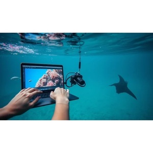 Servicio de Edición de Fotos Subacuáticas con Corrección de Color Profesional, Recuperación de Destellos y Limpieza de Fondo al Mejor Precio - Product Image 6