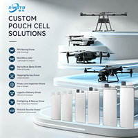 Batterie de drone 300 Wh/kg, 25000 mAh, 14S, 51,8 V, 25 Ah, longue durée, batteries lithium-ion semi-solides pour drone industriel/UAV
