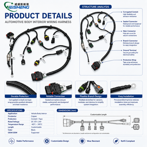 Rangkaian Kabel Kabin Kustom, Kontrol Bodi, Perakitan Kabel Listrik Interior OEM - Product Image 3