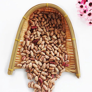 Venta al por Mayor de Frijoles de Azúcar Orgánicos, Frijoles Kidney, Precio Competitivo - Product Image 3