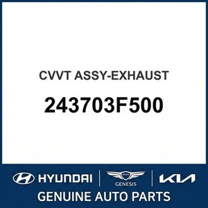 Nouveaux tuyaux et embouts d'échappement G90/EQ900 243703F500 - Product Image 1
