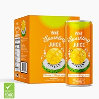 Voor VINUT Vietnam Fabriek 320ml Kokos Sprankelende Sap Zuurzak Passievrucht Mango Watermeloen Ananas Fruit Groente Sap Privé