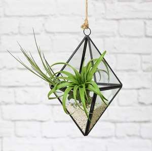 Grand terrarium géométrique en verre, décoration d'intérieur, décoration minimaliste pour les amateurs de plantes, décoration de salon, cadeau personnalisé - Product Image 2
