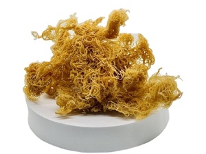 Ưu đãi giới hạn thời gian: đồ ăn nhẹ Rong biển khô ngon từ Việt Nam/Tom - Product Image 3