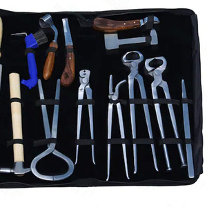 Kit complet de ferrage en acier inoxydable réutilisable pour débutants et experts, outils de soin des sabots de cheval, utilisation vétérinaire durable - Product Image 6