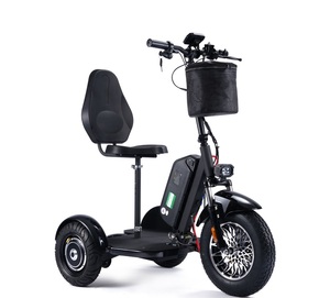 OFERTA ESPECIAL, ENVÍO INMEDIATO, Nuevo Modelo de Triciclo Eléctrico 48v 900w de Litio Mo-to-Tec con 1 Año de Garantía - Product Image 1