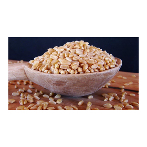 Exportación a Granel de Granos de Trigo de Primera Calidad, Grado Alimenticio, Listos para Enviar - Product Image 6